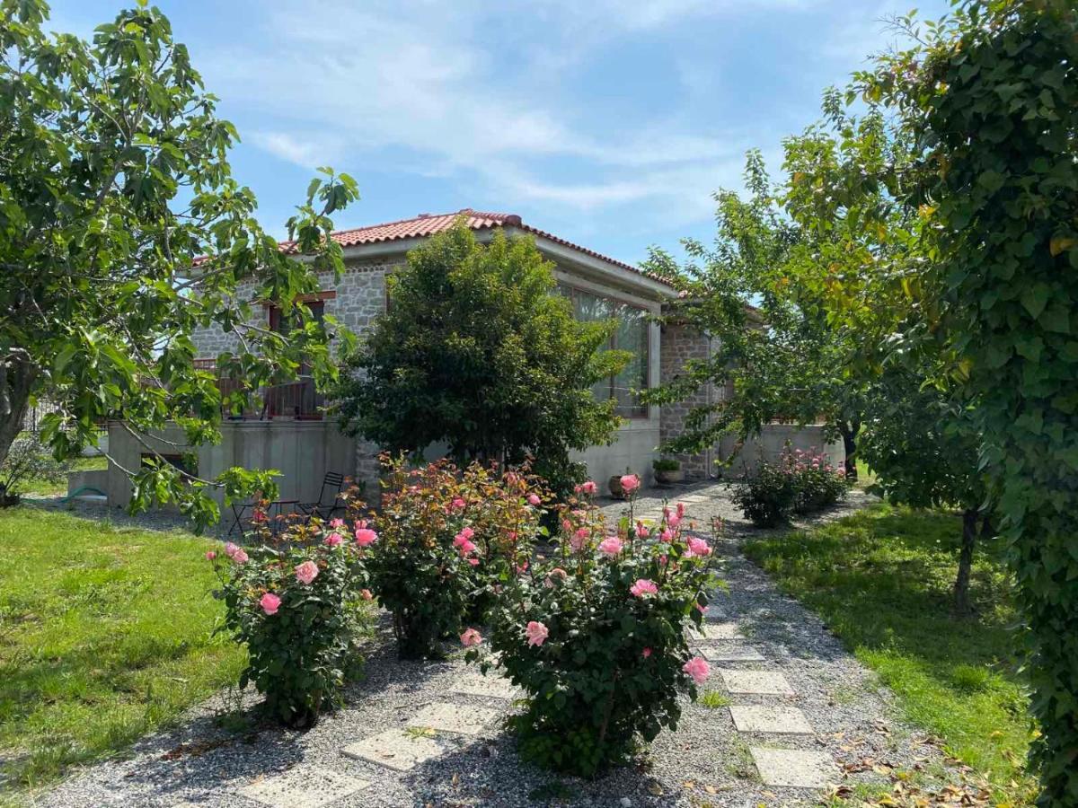 Kampus Luxury Villas Tríkala Exterior foto
